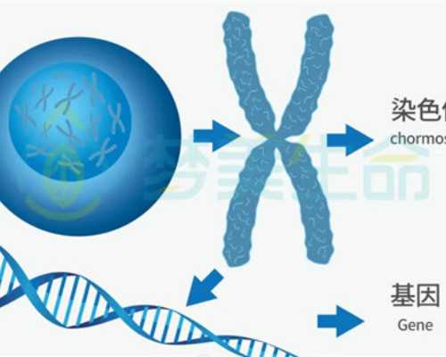 二代试管取三个卵需要多久看生技术?