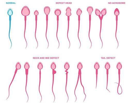 2024
年云南单亲妈妈上户口流程简单吗？,云南新生儿办理户口所需材料