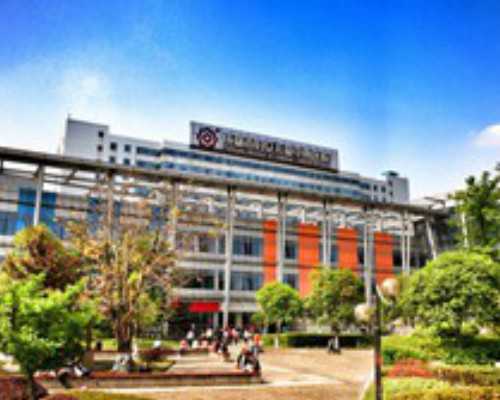 昆明代孕顶尖医院,俄罗斯试管婴儿成就了她们的传奇：女同的爱情也可以开花