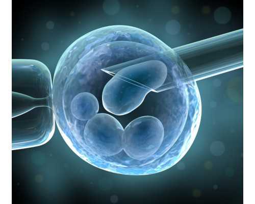 云南南山区地下试管医院安全吗？,云南做试管婴儿可以选择性别吗？