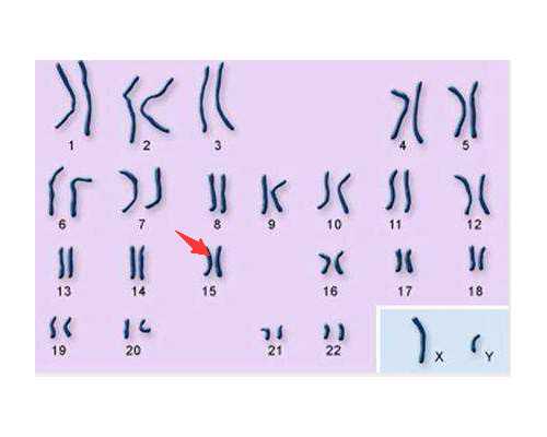 昆明哪里有代生的,第三代试管婴儿超详细全流程，帮助您备孕工作两不误！-从