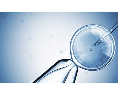 云南生殖医院有供卵吗|无锡供卵试管包成功包生男孩是真的吗[江苏试管婴儿