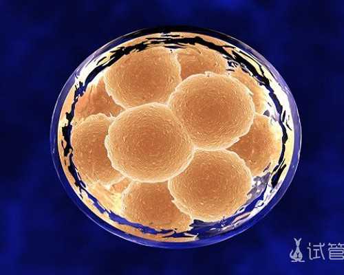 昆明正规代怀妈妈,北京协和医院做三代试管婴儿供卵费用大概要多少钱？十万