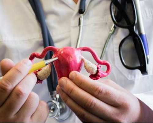 云南武警试管费用多少？6万够吗？,丽水云南有供卵的医院吗