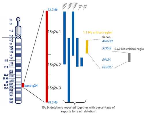 昆明试管代孕供卵医院,，解读一下天津助孕公司排名_云南生三胎新政策2023
年