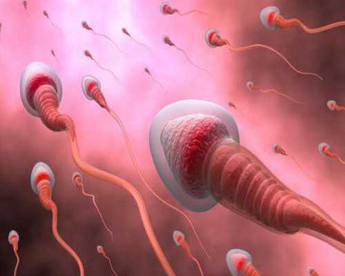 昆明试管代孕正规医院,试管婴儿促排后，无卵可取是怎么回事？_上海供卵试管