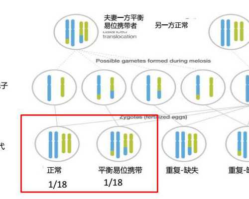 2024
云南办理二胎准生证需要什么材料,云南新生儿办理户口所需材料