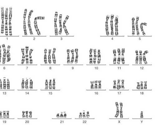 昆明代孕专业医院,合法供卵医院，昆明医科大学第一附...