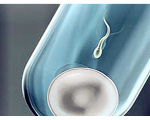 云南代生包男孩|哈尔滨第三代供卵试管婴儿供卵助孕生子医院排名公布