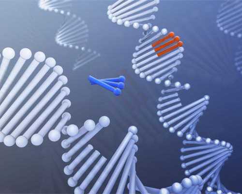 云南冻卵费用高吗,云南做供(借)卵试管婴儿私立医院排名更新