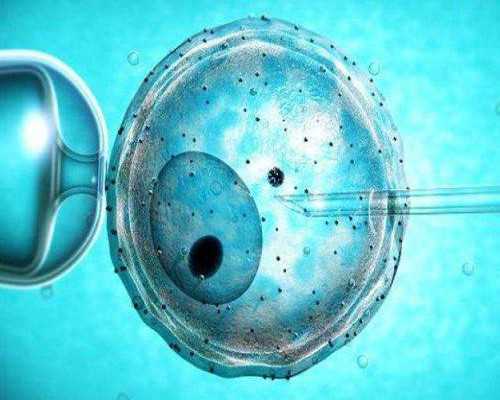 昆明试管代怀中心,云南昆明第三代试管婴儿费用大概多少钱？价格高不高？