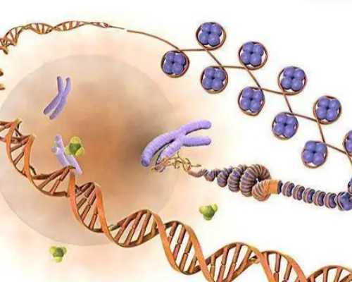 云南弓形子宫做试管婴儿成功率前五医院,云南可做试管的医院