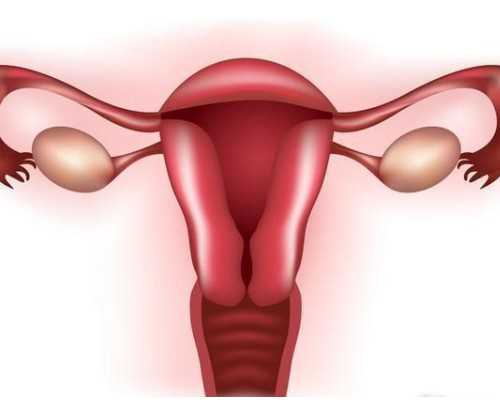 云南哪里可以做供卵试管|重庆助孕机构试管婴儿卵泡大小不一怎么办？