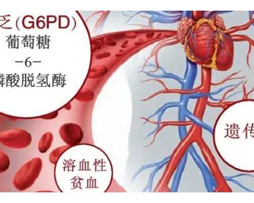 一分钟教你，如何看懂优质胚胎等级! 最好的代孕中心