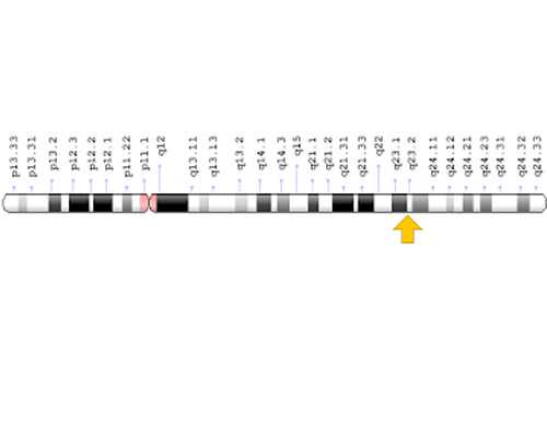 hcg翻倍越好是不是说明胚胎质量越高？