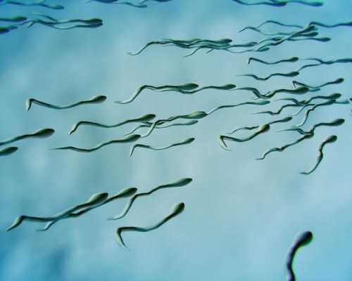 云南私立试管婴儿费用,在云南做第三代试管婴儿费用多少钱？