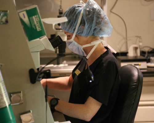 云南做试管婴儿比较好的医院详细介绍,云南可做试管的医院