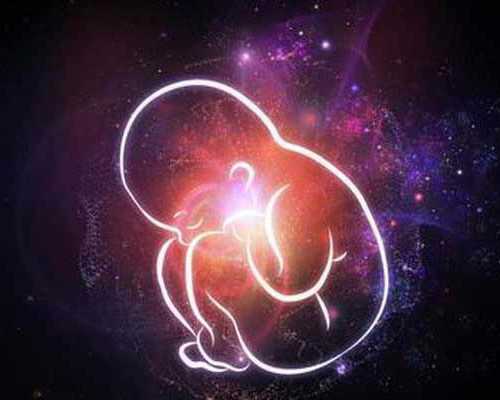 云南试管婴儿做哪个医院好_云南做试管婴儿的医院！