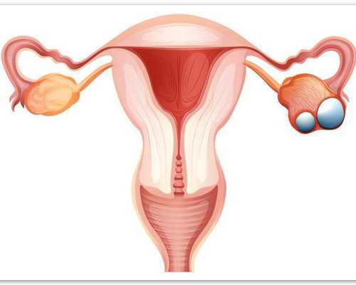 试管什么时候开始促排卵