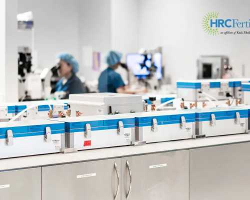 私人代孕服务~胎儿性染色体异常原因