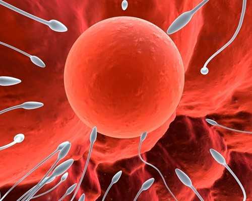 昆明靠谱代孕医院,北京家恩德运医院做供卵吗（北京家恩德运医院试管多少钱