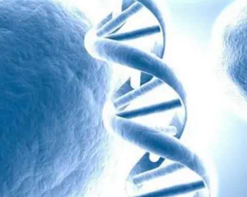 云南哪里做供卵试管不用等？,来云南长江医院收获好孕从这里开始