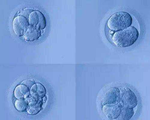 云南省最好的试管婴儿医院,云南哪家医院试管的成功率多高?