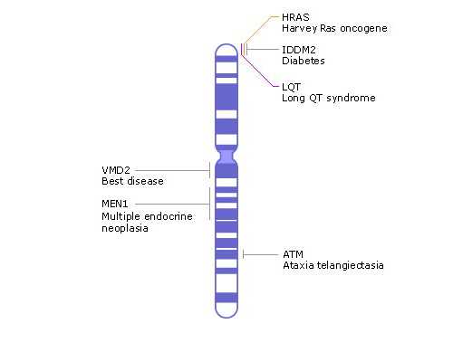 ab血型小孩性格实验(ab血型小孩的性格特点)