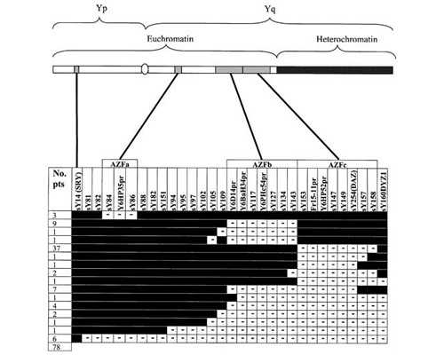 大家都做胎梦了吗 