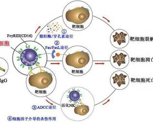 在云南做试管婴儿选什么医院比较好？,云南试管婴儿去哪做好