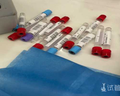 云南捐卵网|洛阳供卵试管排名医院，洛阳市中心医院做试管成功率不错！