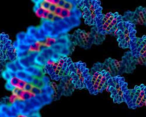 昆明全包代孕套餐,【上海哪里有供卵的】第一胎，一开始是有地计划备孕的。