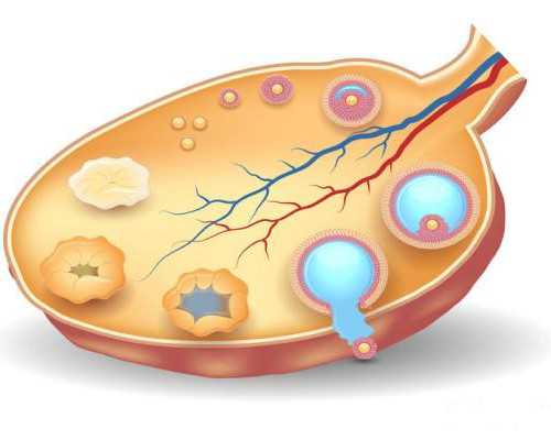 昆明靠谱代孕案例,云南省试管婴儿排名,昆明试管婴儿医院排行榜