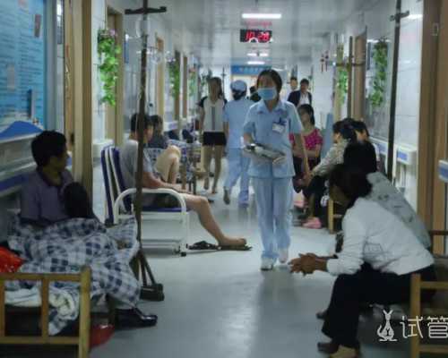 云南最大的代孕公司|2023年广州供卵生子试管婴儿机构排名前十的有哪些？