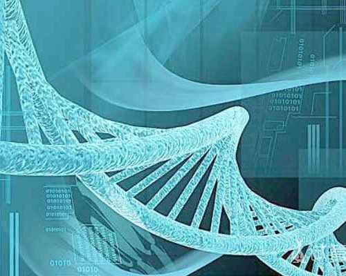 昆明有代怀公司吗,香港有哪几家验血机构准不准,dna胎儿性别邮寄可靠吗-孕妇喜