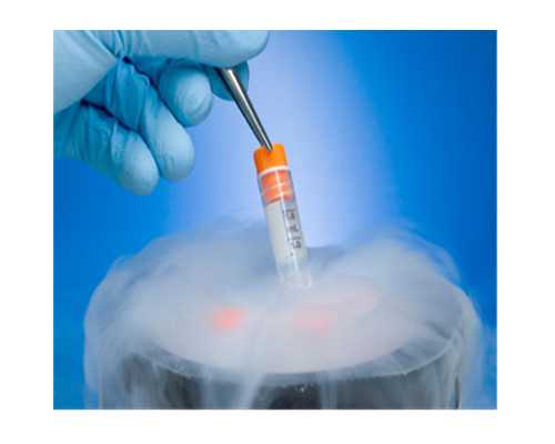 云南借卵子生子又后悔|重庆供卵试管包生儿子价格明细，费用因人而异