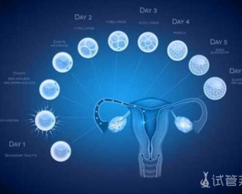 云南省试管哪家医院好,云南省试管婴儿最好医院！